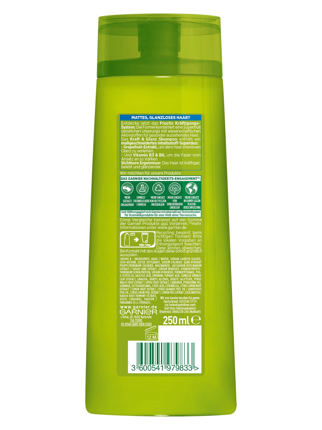 3600541979833 Garnier Fructis Kraft Glanz SH 250ml back gr